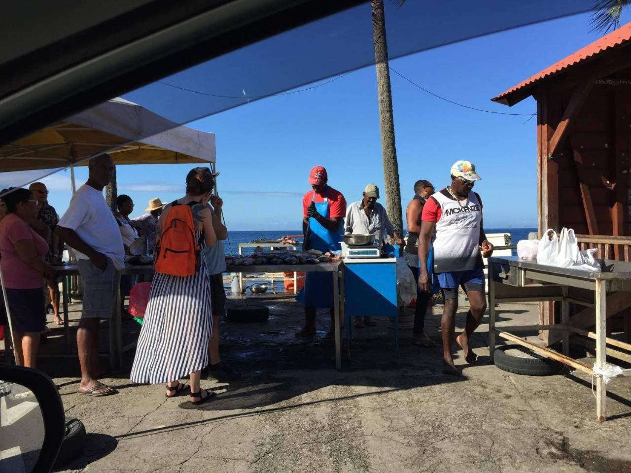 T2 Tropical En Bord De Piscine A 100M De La Mer Lägenhet Le Carbet Exteriör bild